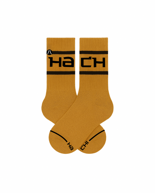 Stripe Socks (Multi)