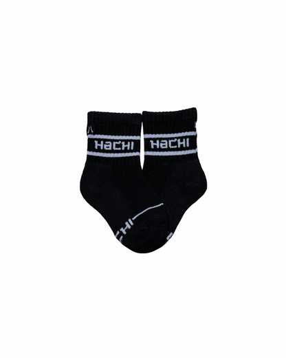 Hachi Soru