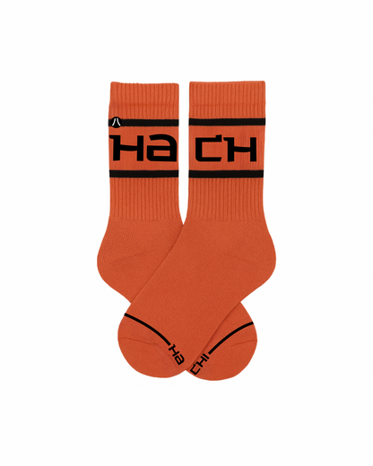 Hachi Stripe  (Multi)