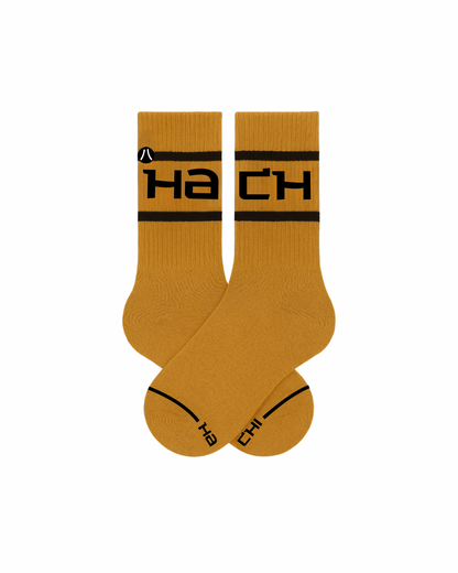 Hachi Stripe  (Multi)